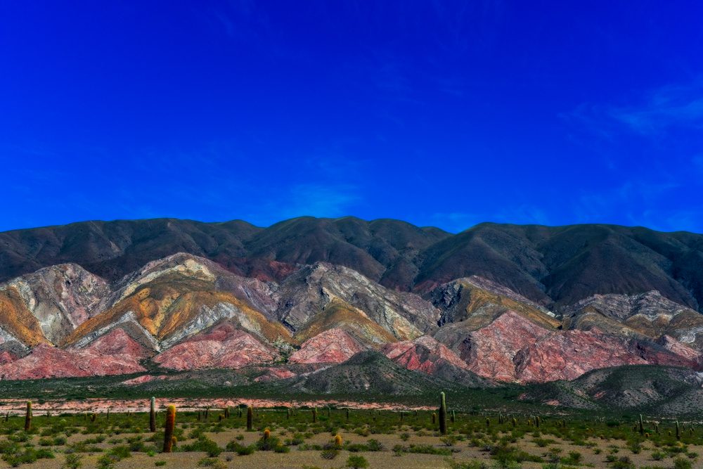 Los Cardones National Park (Official GANP Park Page)